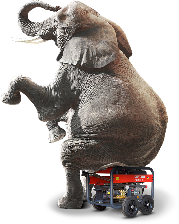 Nettoyeur Elephant