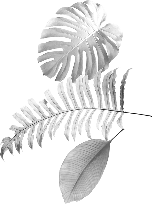 Palmier decor