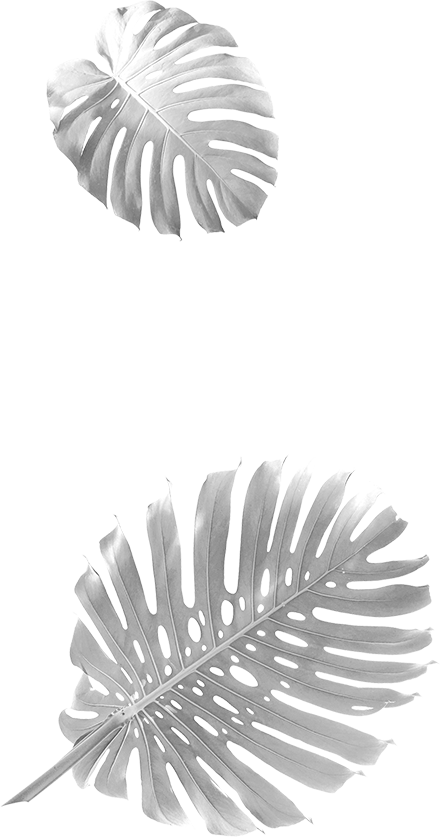 Palmier decor